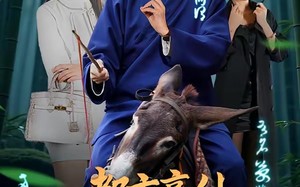 都市豪仙，这个赘婿有点无敌（84集）短剧夸克网盘全集免费抢先看