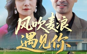 风吹麦浪遇见你（60集）短剧夸克网盘手机平板随时看