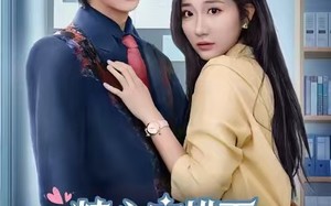 精心安排下，我成了女强（81集）短剧夸克网盘在线免费赏