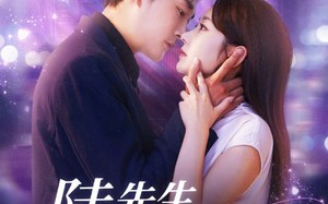 陆先生，余生不再见（88集）短剧夸克网盘免费看精彩不停