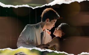 拆家野玫瑰（80集）短剧夸克网盘完整剧情随便看