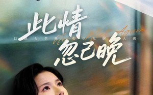 此情忽已晚（67集）短剧夸克网盘高清全集任性看