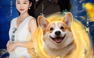 萌犬上仙，坏男人退散指南（34集）短剧夸克网盘全集一口气看完