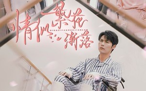 情似繁花渐落（62集）短剧夸克网盘每日更新追剧无忧