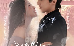 戏精影后请就位（60集）短剧夸克网盘高清全集免费观