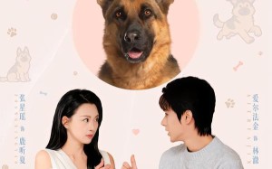 穿越汪星来爱你（62集）短剧夸克网盘高清视频在线看