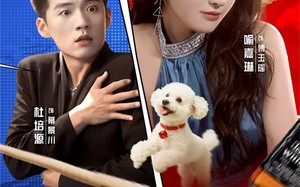 少夫人不好惹（61集）短剧夸克网盘免费在线看全集