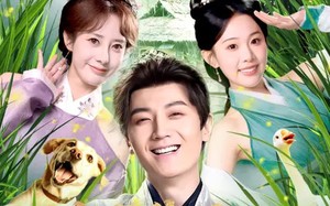 古代种田，朝廷给我发媳妇（81集）短剧夸克网盘全集免费观