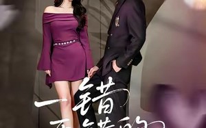 一错再错的爱（38集）短剧夸克网盘超清画质畅快看