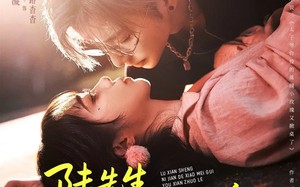 陆先生，你捡的小玫瑰又掀桌了（74集）短剧夸克网盘畅享全集看