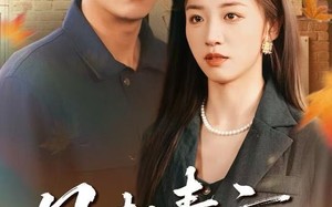 风起青云不见君（60集）短剧夸克网盘精彩内容在线看