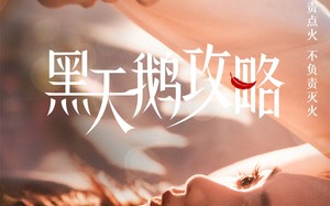 黑天鹅攻略（65集）短剧夸克网盘高清资源一次看过瘾