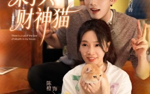我家来了只财神猫（80集）短剧夸克网盘全集高清在线看