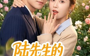 陆先生的小福星不好惹（56集）短剧夸克网盘高清视频免费看
