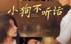 小狗不听话（70集）短剧夸克网盘免费看完整版