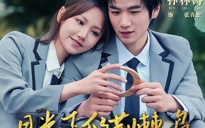 月光下的荆棘鸟（80集）短剧夸克网盘全集免费畅看