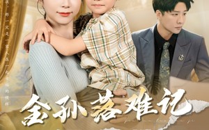 金孙落难记（62集）短剧夸克网盘完整剧情在线看