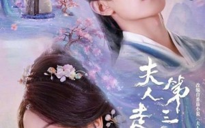 夫人走的第三年（72集）短剧夸克网盘全集畅快观看