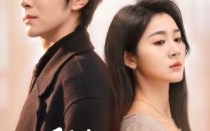 陆总夫人她只想离婚（80集）短剧夸克网盘完整版免费看