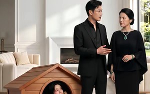 狗屋藏娇（52集）短剧夸克网盘完整版在线观看