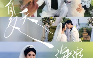 夏天，海浪与你（76集）短剧夸克网盘一键直达全集观看
