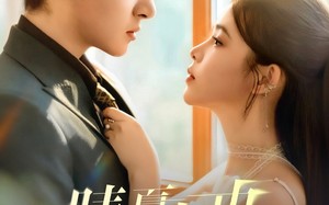 晴夏未央（78集）短剧夸克网盘全集免费在线看