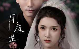 月夜蔷薇（72集）短剧夸克网盘免费无广告观看