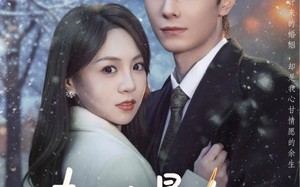 夫人太暴力，秦总每天带伤上班（80集）短剧夸克网盘全集免费看不停