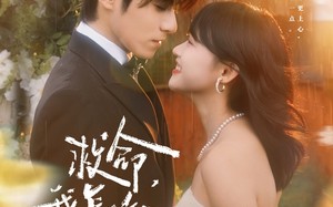 周总，夫人她不按套路出牌（82集）短剧夸克网盘超清完整在线看