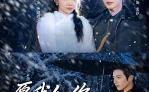 愿我如你，铮铮不折（63集）短剧夸克网盘全集免费快速看