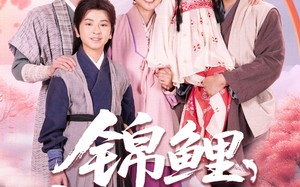 锦鲤饲养手册（80集）短剧夸克网盘全集高清收藏版