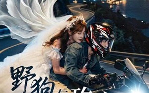 野狗与玫瑰（30集）短剧夸克网盘全集视频免费赏