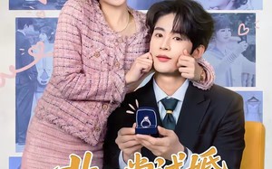 非正常试婚：全职太太上位记（80集）短剧夸克网盘高清全集在线看