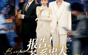 报告！茶系忠犬抢婚成功了（83集）短剧夸克网盘在线看全集