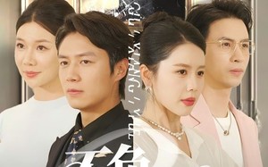 不负故乡月（70集）短剧夸克网盘手机平板随时看