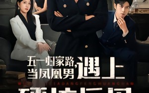 五一归家路，当凤凰男遇上硬核岳母（60集）短剧夸克网盘全集畅快看