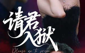 请君入狱（31集）短剧夸克网盘精彩剧情在线追更