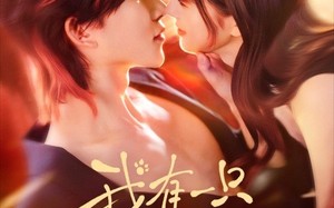 我有一只男狐狸（48集）短剧夸克网盘精彩剧情畅快看