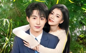 赵先生结婚证过期不候（50集）短剧夸克网盘全集在线观看
