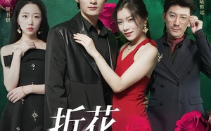 折花枝上开（51集）短剧夸克网盘全集免费尽情看