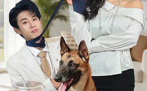 变成狗后，被女上司捡回家了（57集）短剧夸克网盘免费看全集