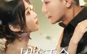 团宠千金不好惹，三个哥哥争着宠（69集）短剧夸克网盘高清视频看全集