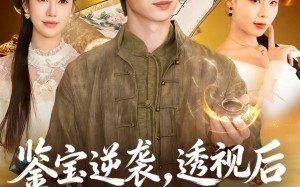 鉴宝逆袭，透视后我靠捡漏赢麻了（80集）短剧夸克网盘全集高清免费观瞧