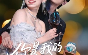 你是我的温柔陷阱（55集）短剧夸克网盘高清资源尽情享