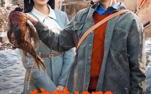 狩猎1979，全家荒年顿顿肉（70集）短剧夸克网盘免费畅享全集