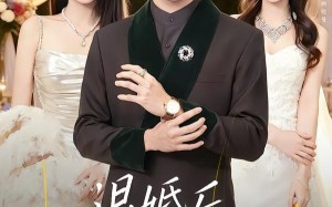 退婚后，我被总裁伴娘宠上天（60集）短剧夸克网盘免费畅看全集