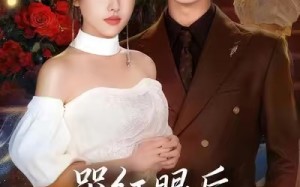 哭红眼后，苏小姐封琴离婚了（57集）短剧夸克网盘高清免费看