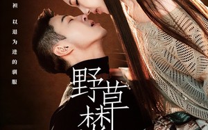 野草焚尽（74集）短剧夸克网盘免费在线赏