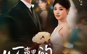 心声里的温柔回响（79集）短剧夸克网盘高清完整版一睹为快