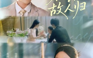 花落故人归（66集）短剧夸克网盘高清流畅在线观看